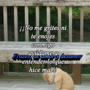 Meet your Posher, Chiken